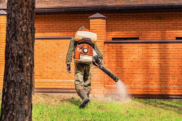 Trusted Termite Control service in Alamo, TX - Nex Pest Control
